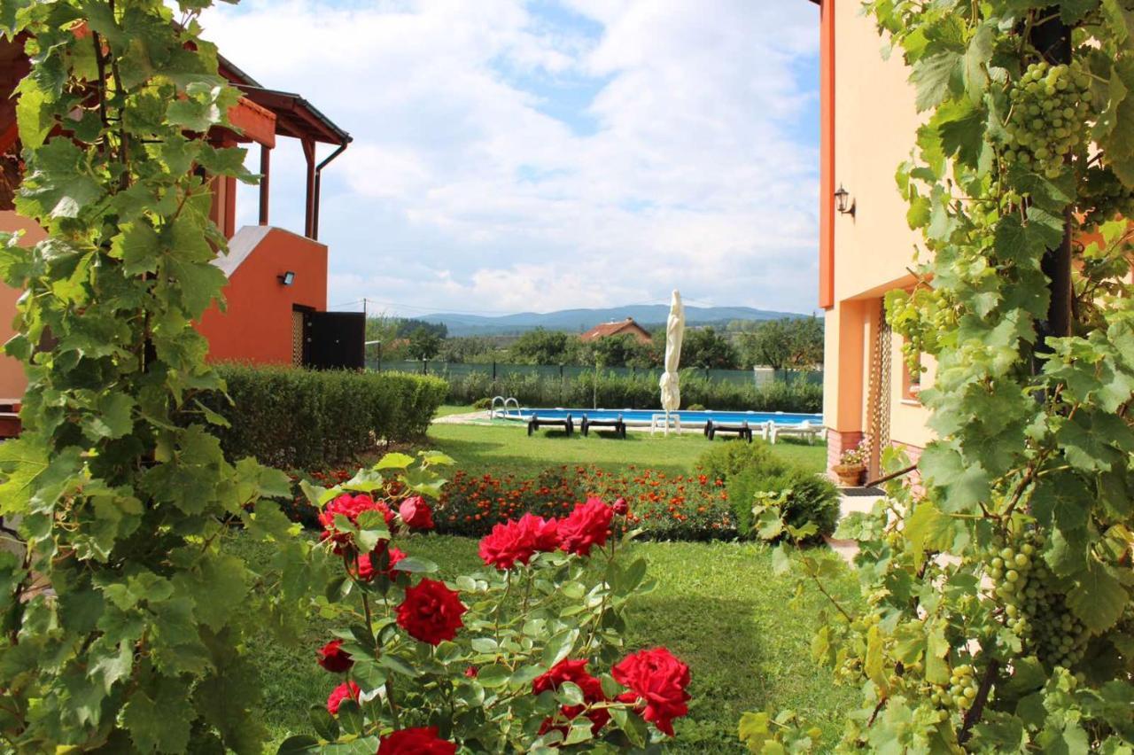 Къщи За Гости Ореха Samokov Exterior foto